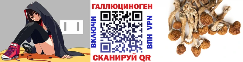 Псилоцибиновые грибы GOLDEN TEACHER  Суоярви 